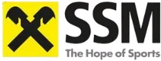 Salzburger Schulsportmodell